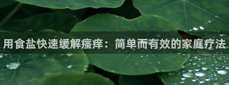 威九国际的网站入口在哪里