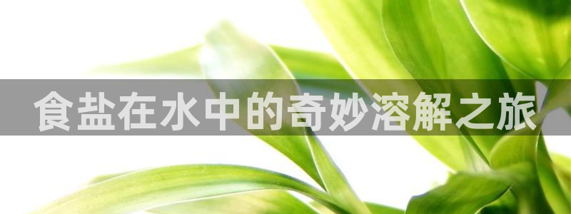 威九国际78app