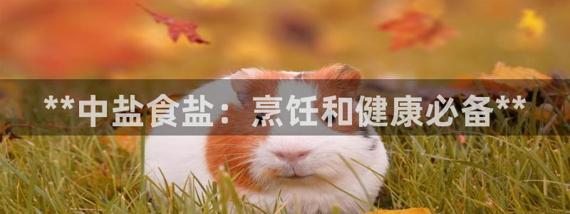威九国际78mob游戏说明