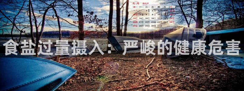 威九国际78M.APP