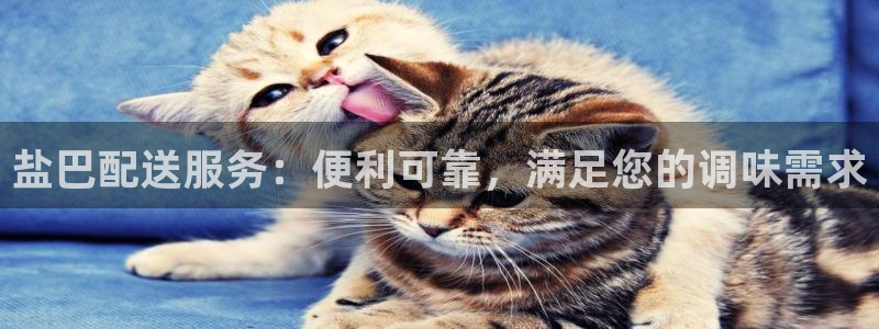 保定威九网络科技有限公司电话