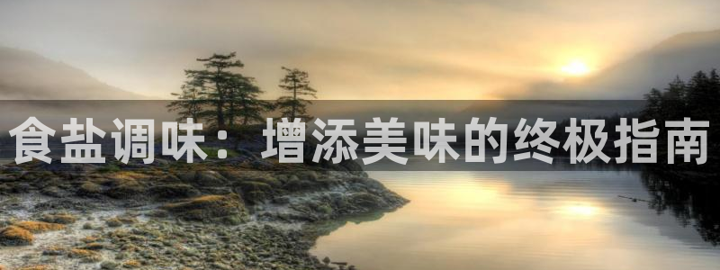 66m威九国际精选
