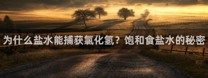 威九国际v8
