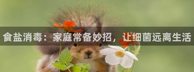 威九国际的金融服务怎么样