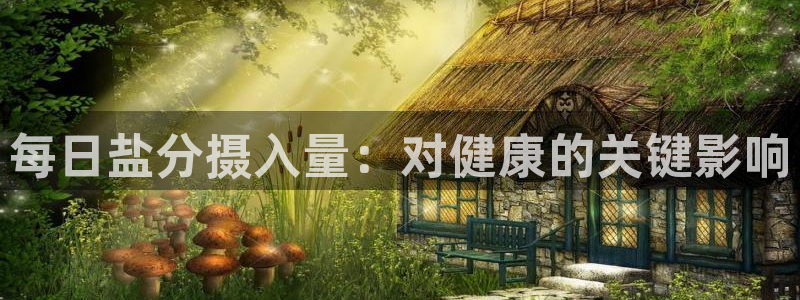 威九国际韩国