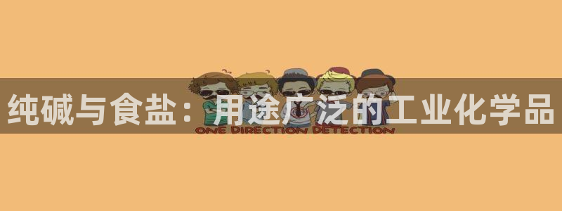 威九国际ppt官网