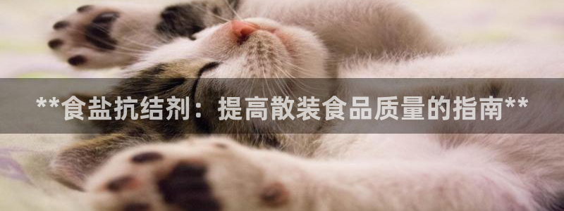 威九国际软件公司简介