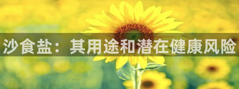 威九国际理论片最经典十首歌曲