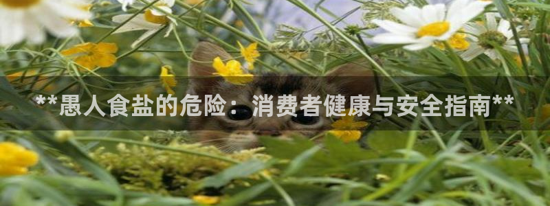 威九国际取款不会被骗吧