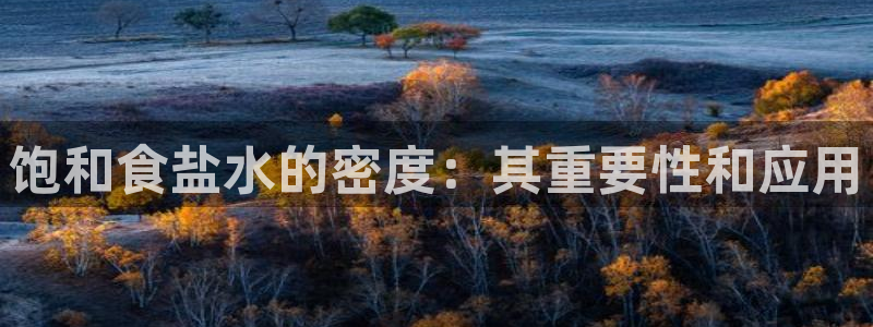 威九国际狂飚电影