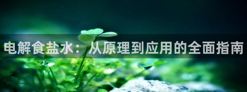 威九国际ppt免费吗
