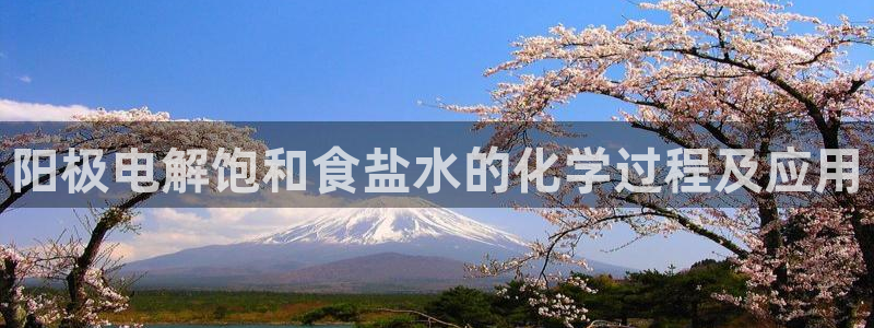 威九国际网站是多少