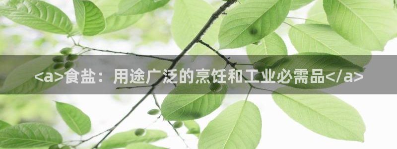 威九国际真人游戏