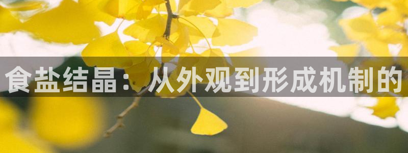 威九国际78mob游戏说明