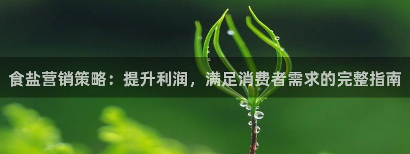 威九国际APP