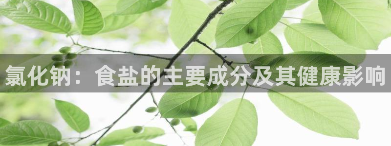 威九国际精彩视频2022年