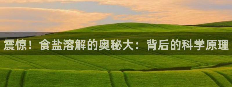 威九国际客服电话号码