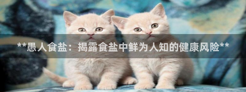 威九国际网站下载