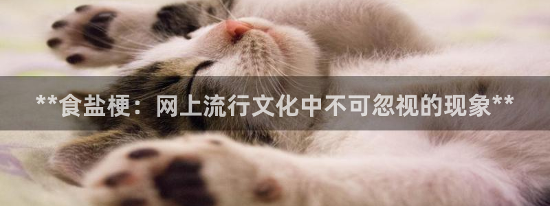 威九国际网站客服电话多少