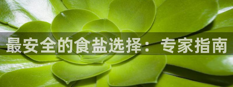 威九国际女主名字