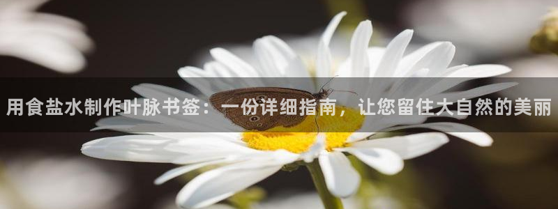 威九国际空降服务女演员叫什么名字