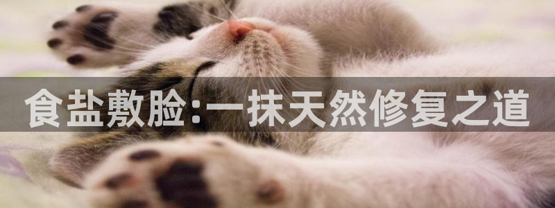 威九国际网站经常打不开网页