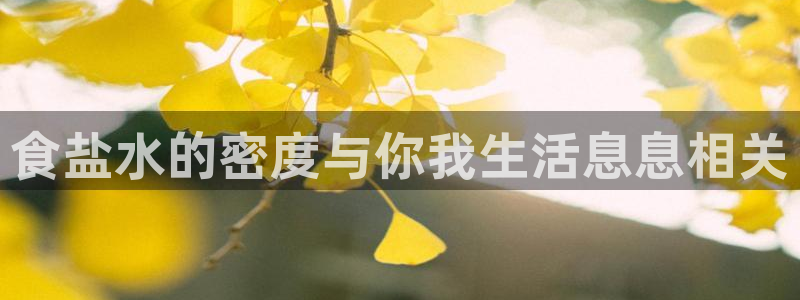 威九国际抡里