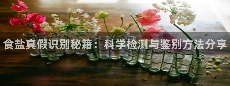 威九国际H
