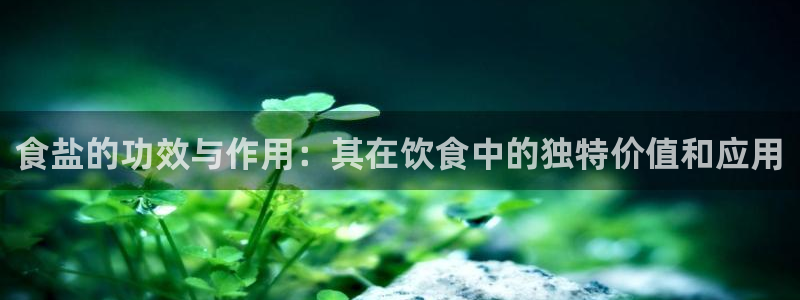 威九国际66m