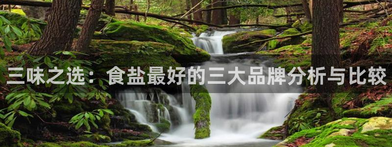 威九国际最近的视频