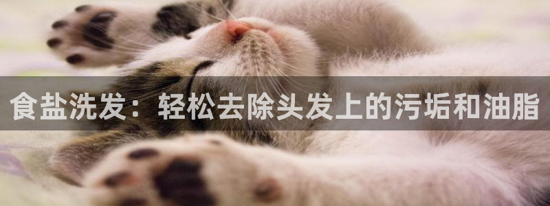 威九国际Info