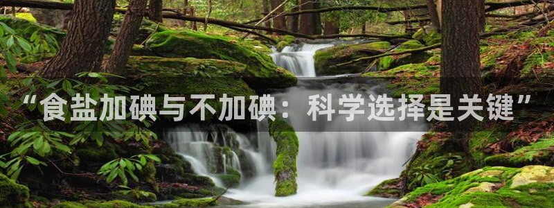 威九国际体育app下载