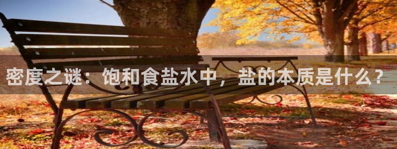 威九国际最新网站