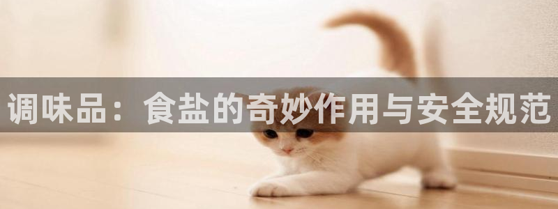 威九国际APP那个地方