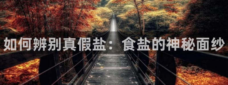 威九国际电视