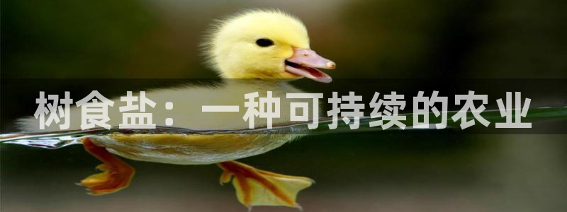 威九国际网站为什么不禁止