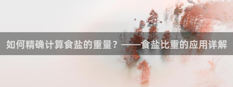 威九国际ppt免费下载
