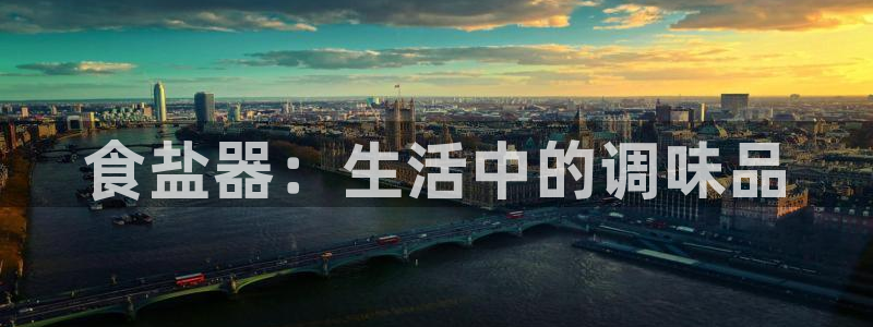 威九国际app入口官网：食盐器：生活中的调味品