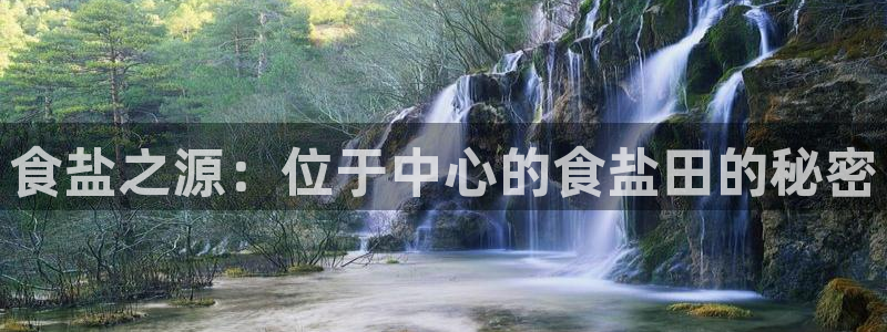 威九国际网站