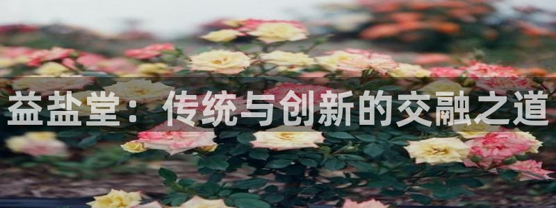 威九国际第一页