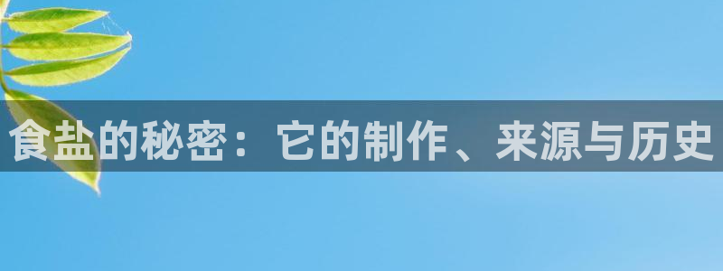 78mapp威九国际媒体