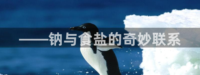 威九国际后爸