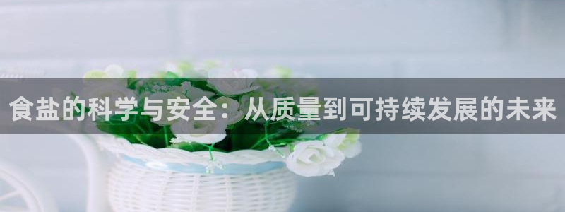 威九国际动漫