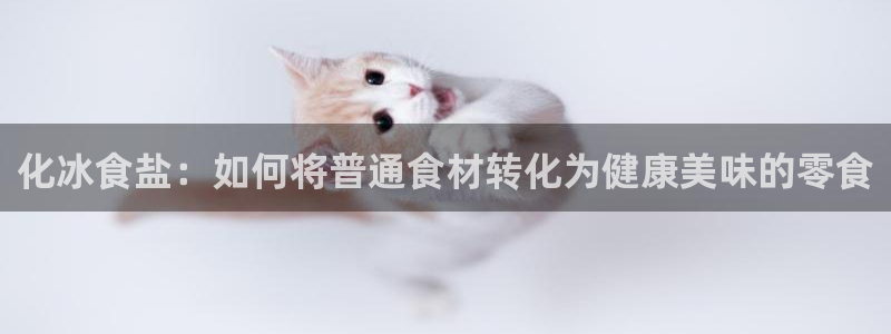 威九国际服