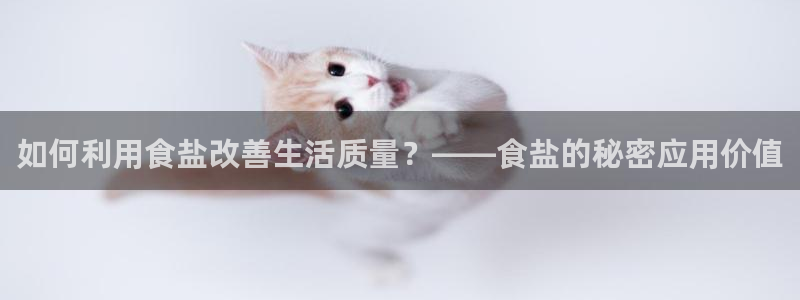 威九国际新