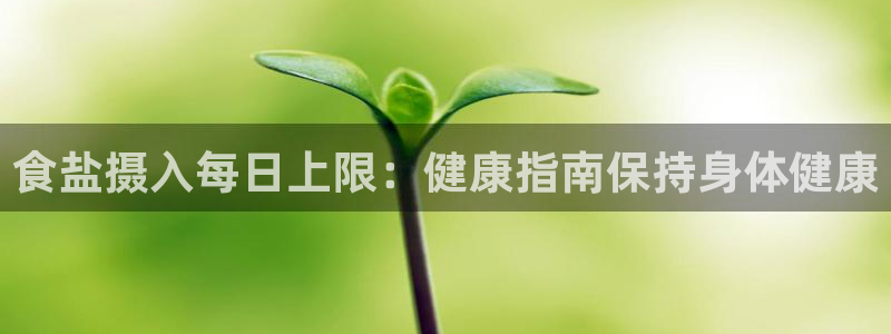 威九国际官网登录入口网站