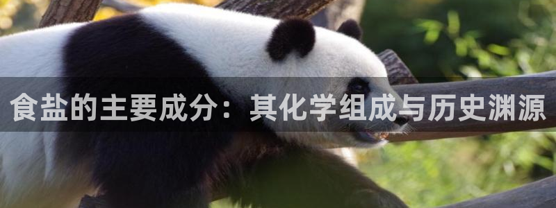 威九国际网站登录