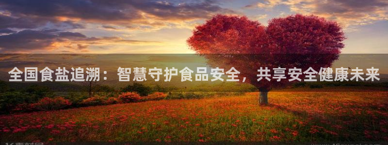 威九国际国精彩片段