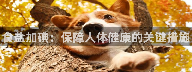 威九国际女演员名单介绍