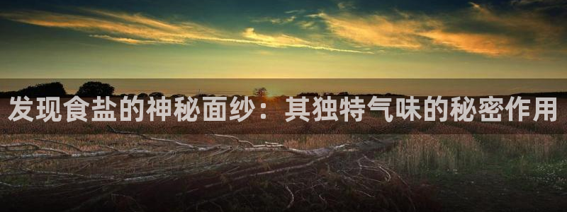 威九国际78mob游戏亮点